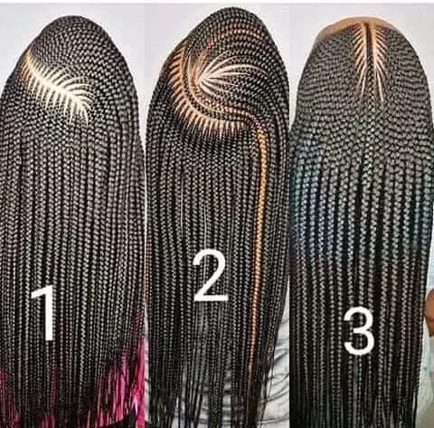 Lady's coiffure (2)